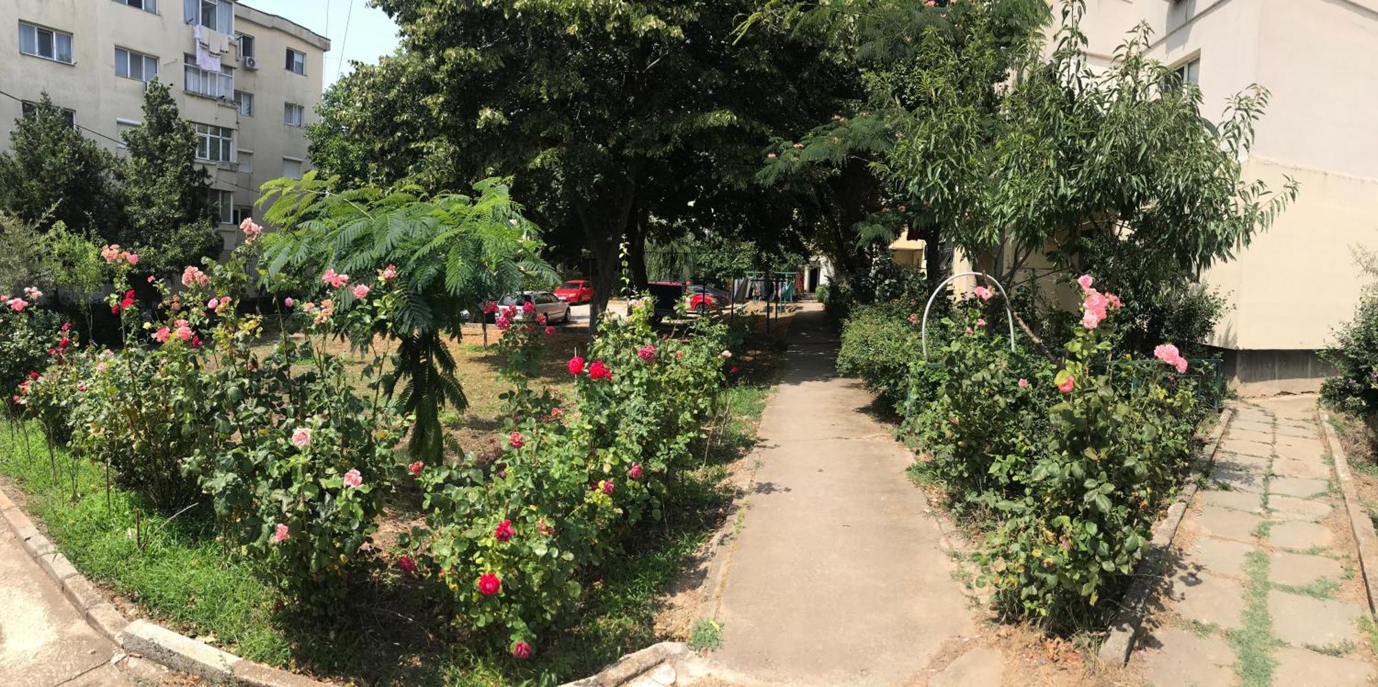 Apartament Langa Plaja Diana مانغاليا المظهر الخارجي الصورة