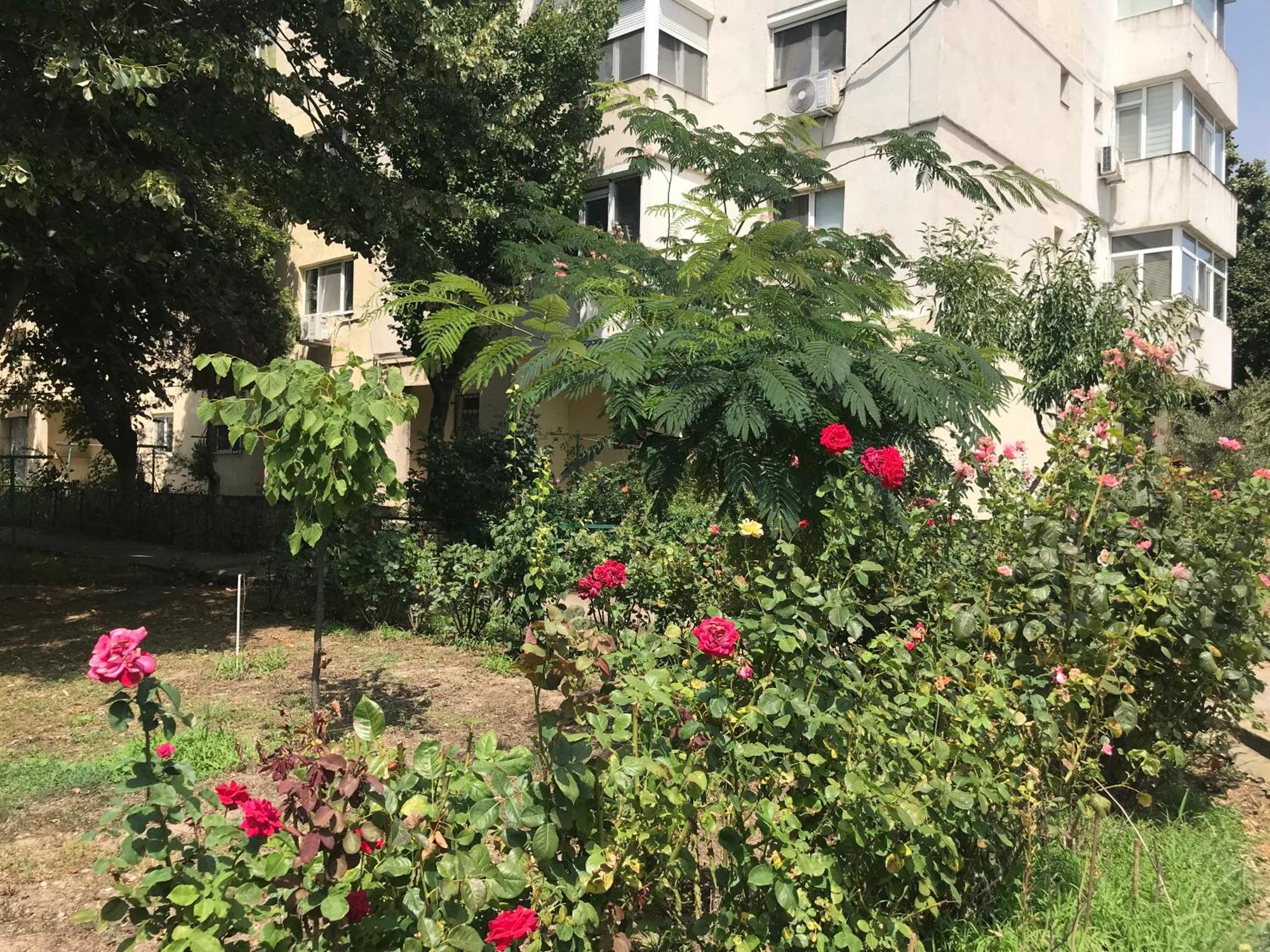 Apartament Langa Plaja Diana مانغاليا المظهر الخارجي الصورة