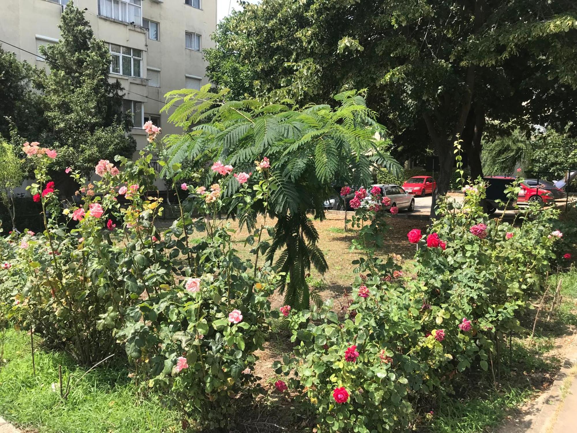 Apartament Langa Plaja Diana مانغاليا المظهر الخارجي الصورة