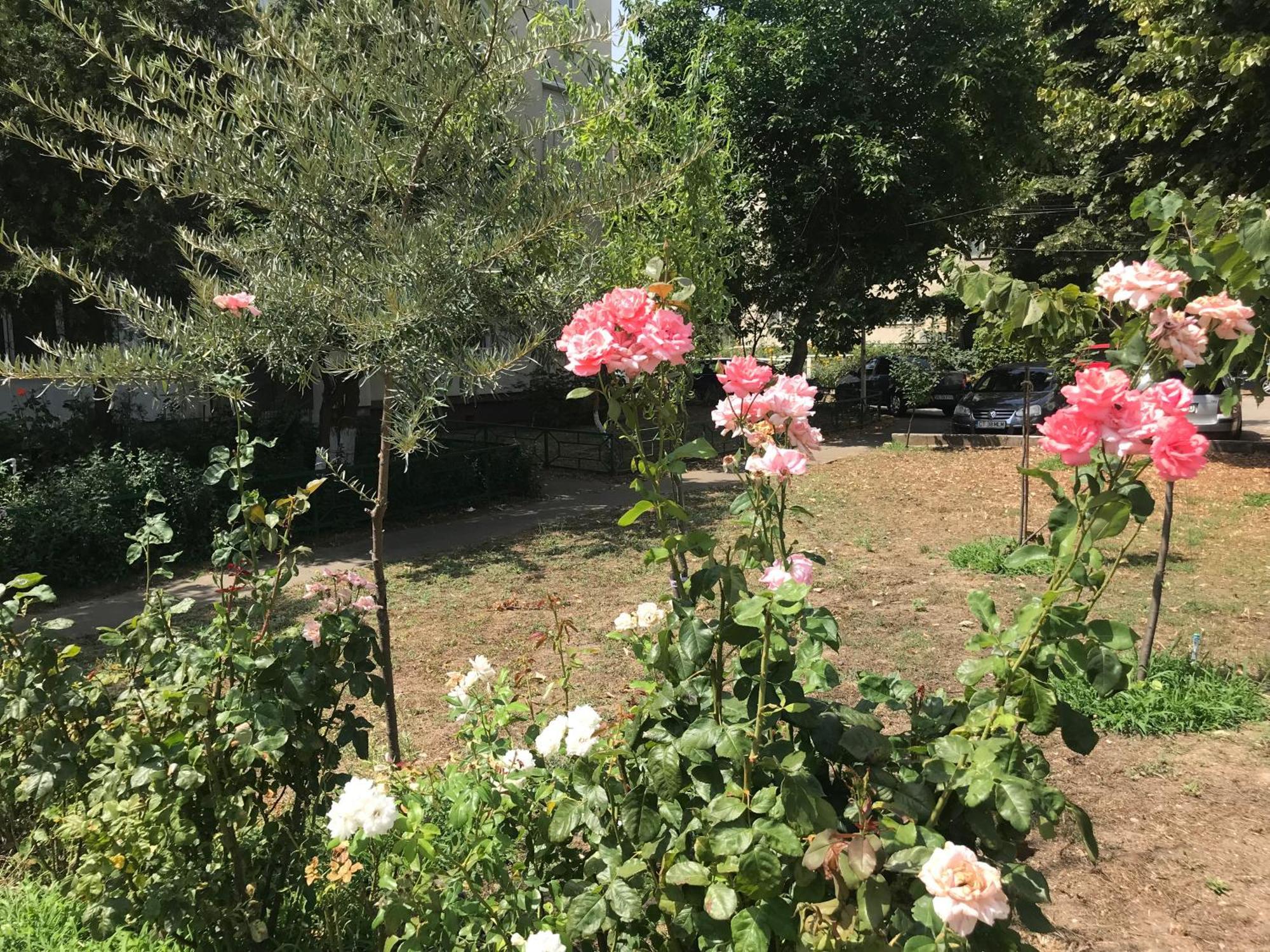 Apartament Langa Plaja Diana مانغاليا المظهر الخارجي الصورة